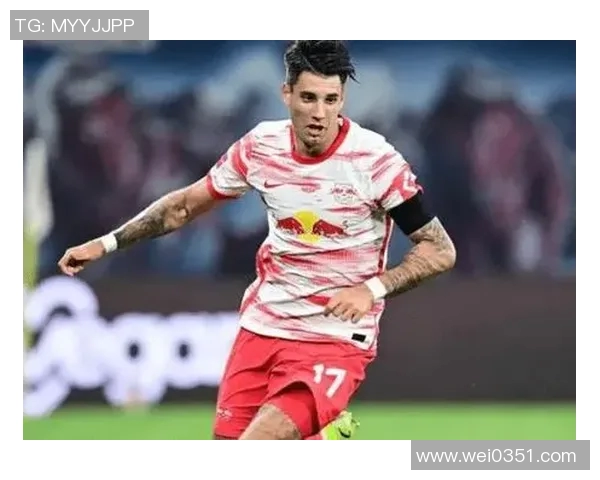 足球明星去世后墓地遭破坏引发社会热议与法律争议